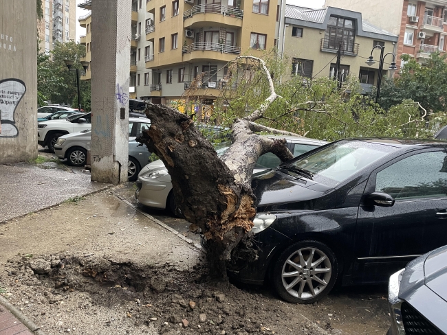 Üsküp’te rüzgar ve şiddetli yağmur hayatı olumsuz etkiledi