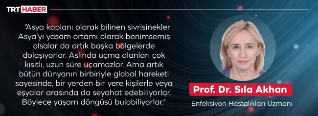 İklim krizinin etkisiyle hızla çoğalan sivrisinekler ölümcül hastalıklara neden olabiliyor