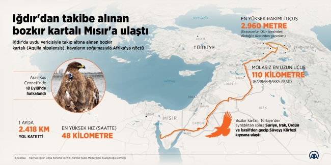 Iğdır'dan takibe alınan bozkır kartalı Afrika'ya göçtü